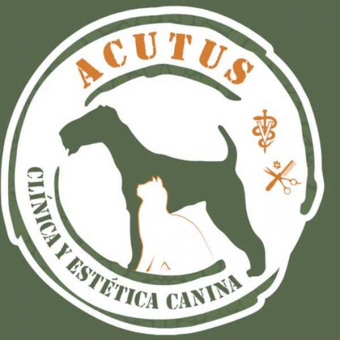 Acutus Clínica y Estética Canina