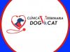 Clinica Veterinaria Dog & Cat