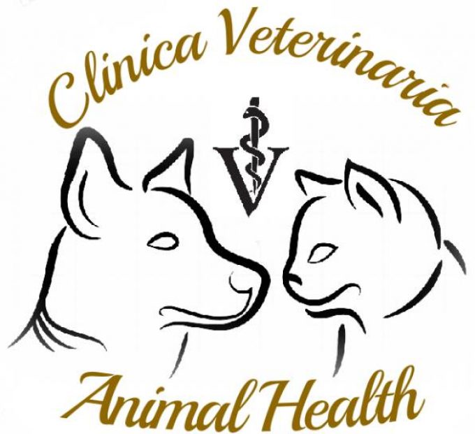 Cv Animal Health