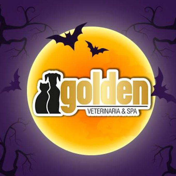Golden Veterinaria y Spa