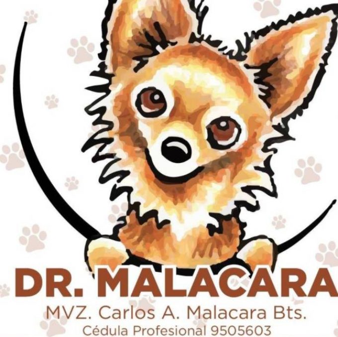 Veterinaria Dr. Malacara