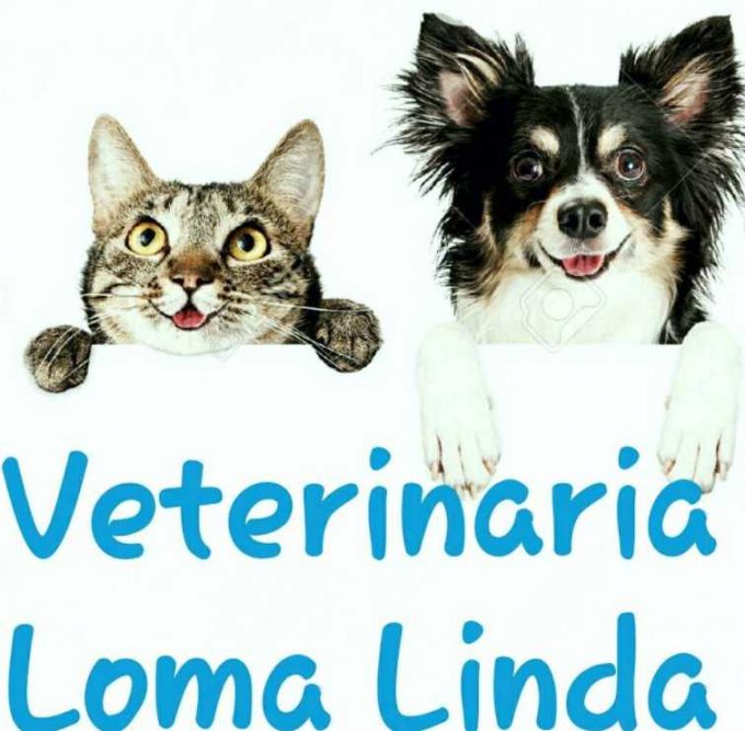Veterinaria Loma Linda